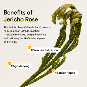 Jericho rose mist serum Glow spray