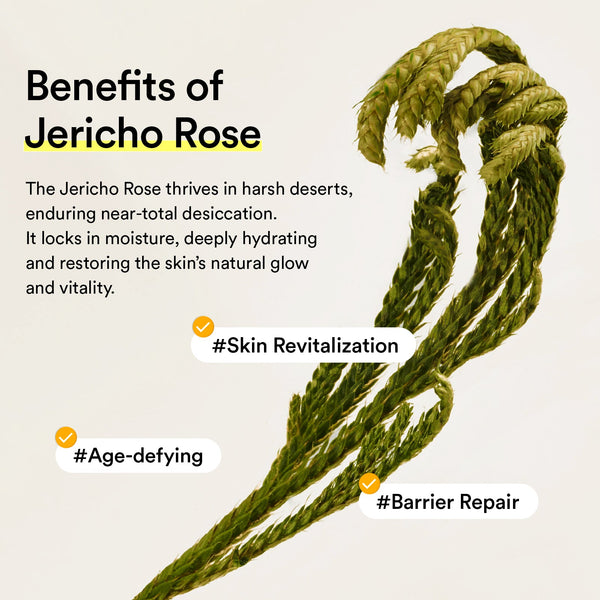 Jericho rose mist serum Glow spray