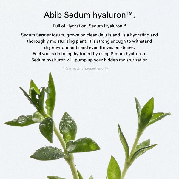 Sedum hyaluron cream Hydrating pot