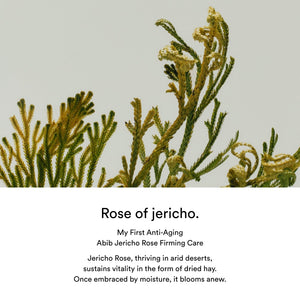 Jericho rose PHA toner Skin booster
