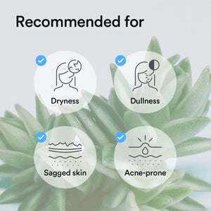 Collagen gel mask Sedum jelly (10 masks)