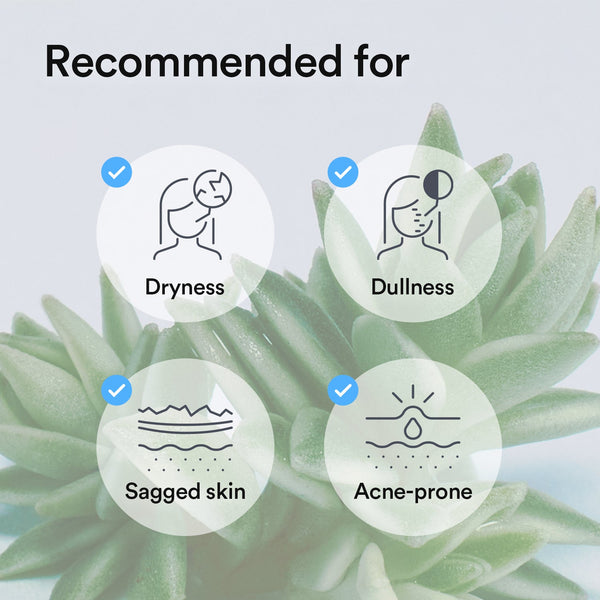 Collagen gel mask Sedum jelly (10 masks)