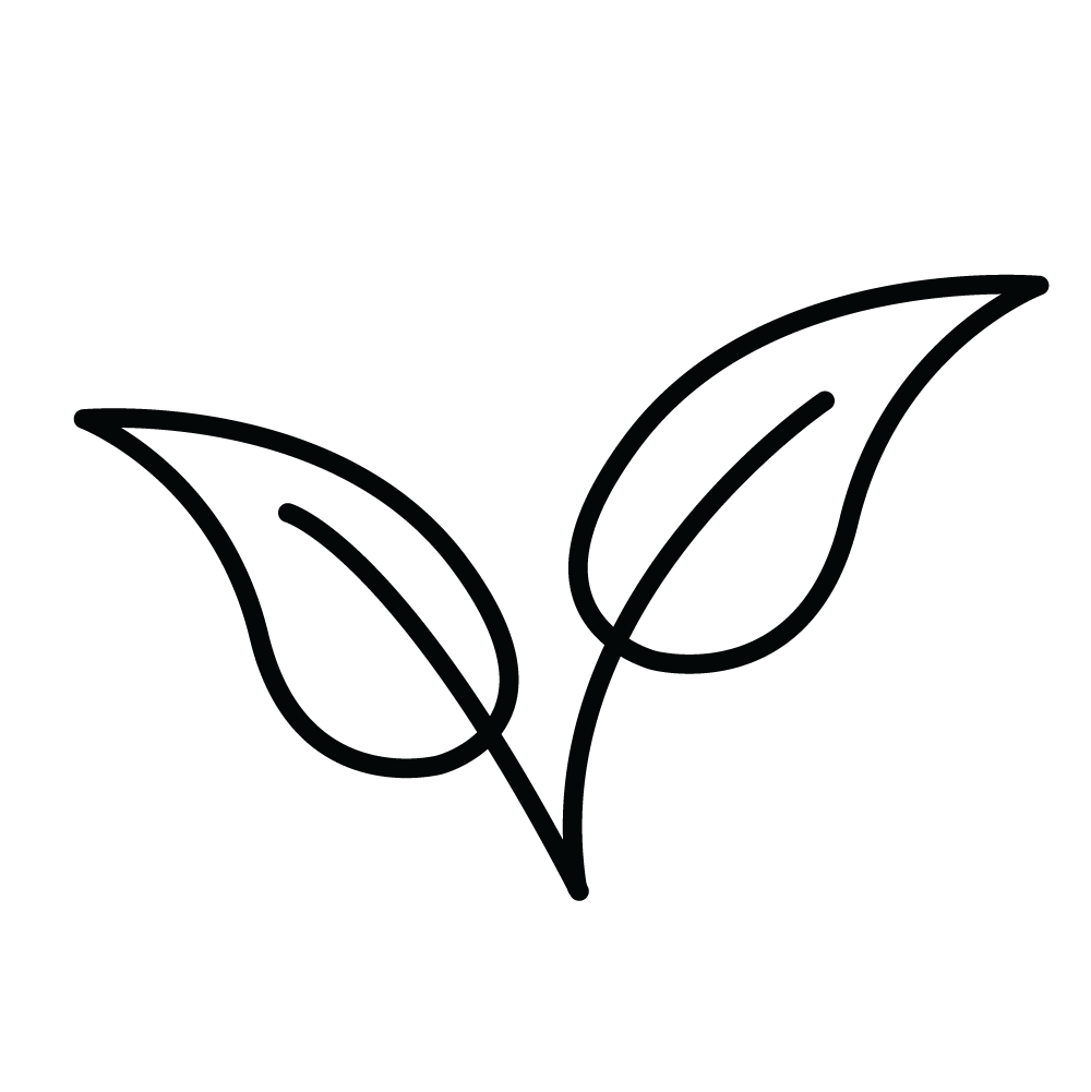 Feature Image 1