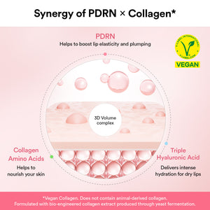PDRN 5-Step Repair Routine 30mlx2+75ml+60pcs+11g