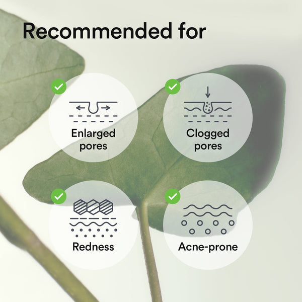 Collagen gel mask Heartleaf jelly (10 masks)