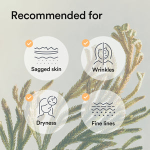 Collagen gel mask Jericho rose jelly (10 masks)